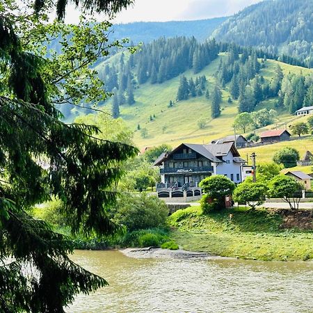 ホテル Piatra Codrilor ドルナ・アリニ エクステリア 写真